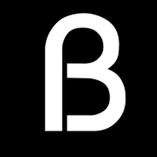 Blonstein logo